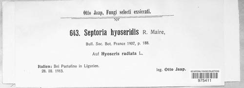 Septoria hyoseridis image